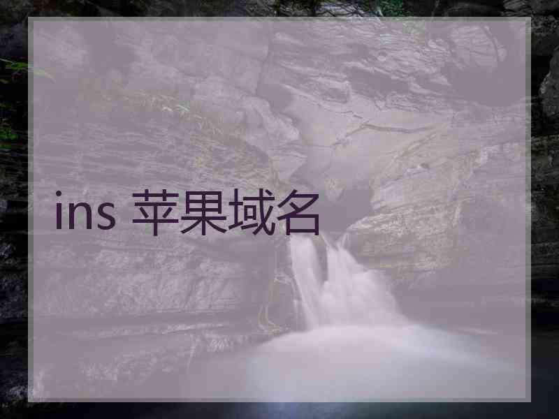 ins 苹果域名