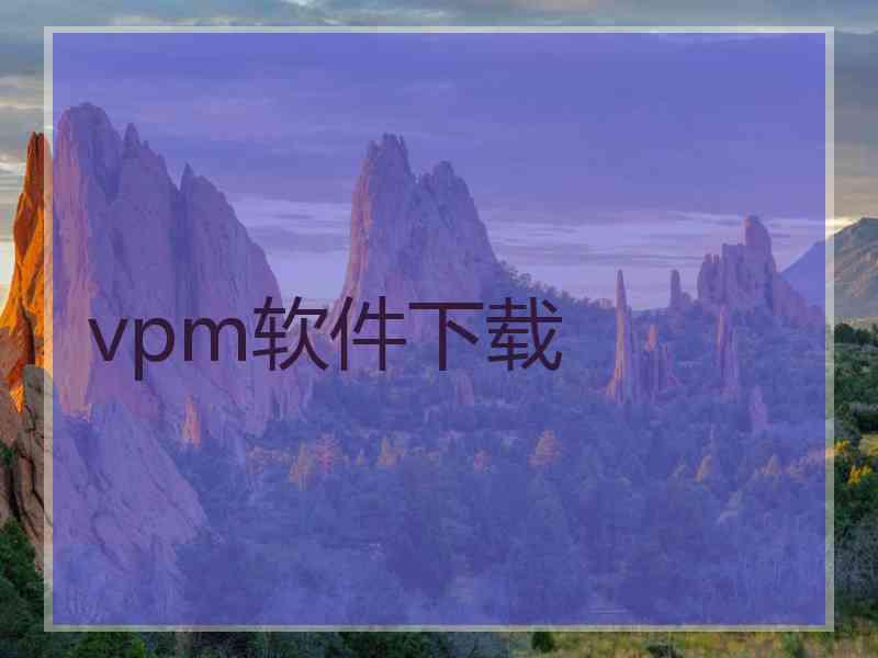vpm软件下载