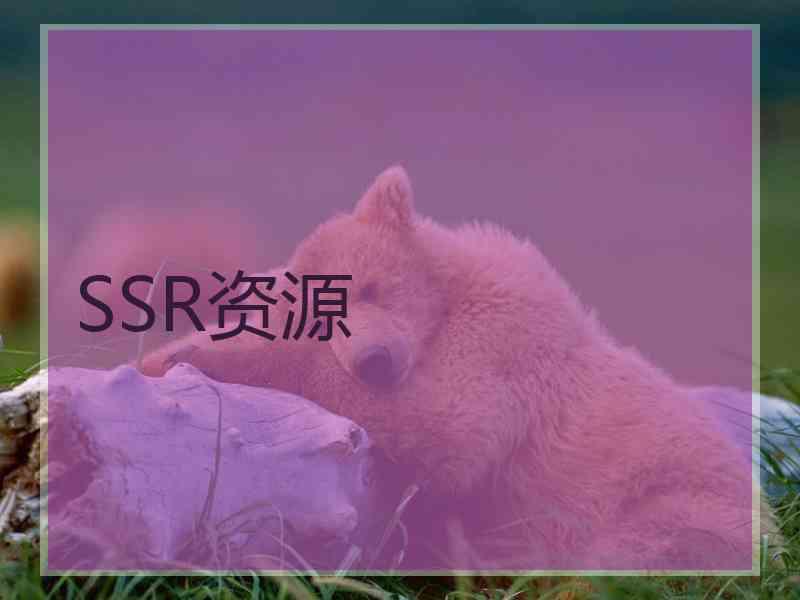 SSR资源
