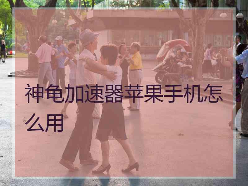 神龟加速器苹果手机怎么用
