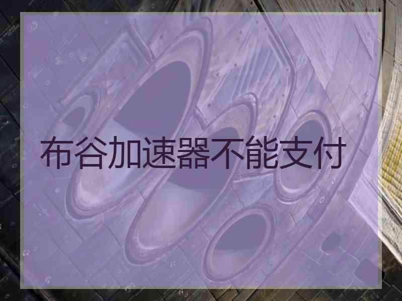 布谷加速器不能支付