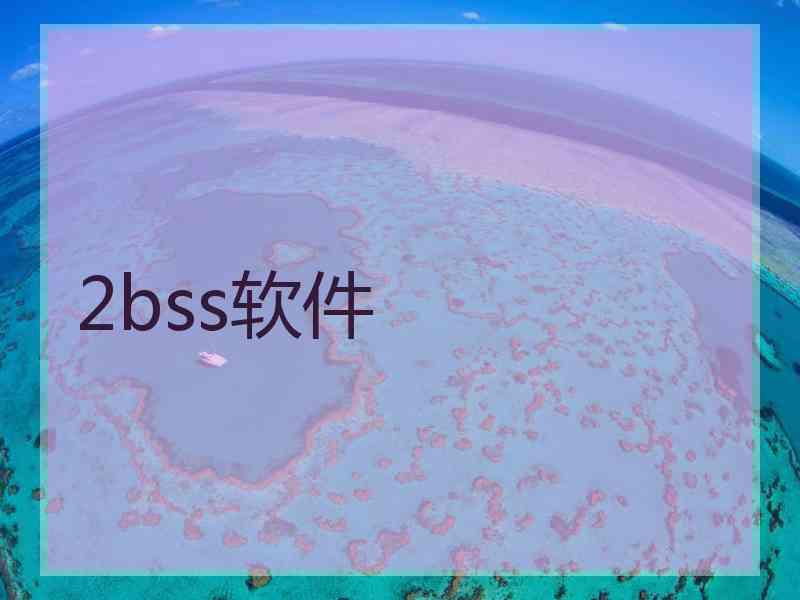 2bss软件