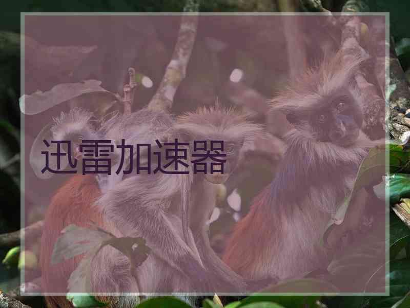 迅雷加速器