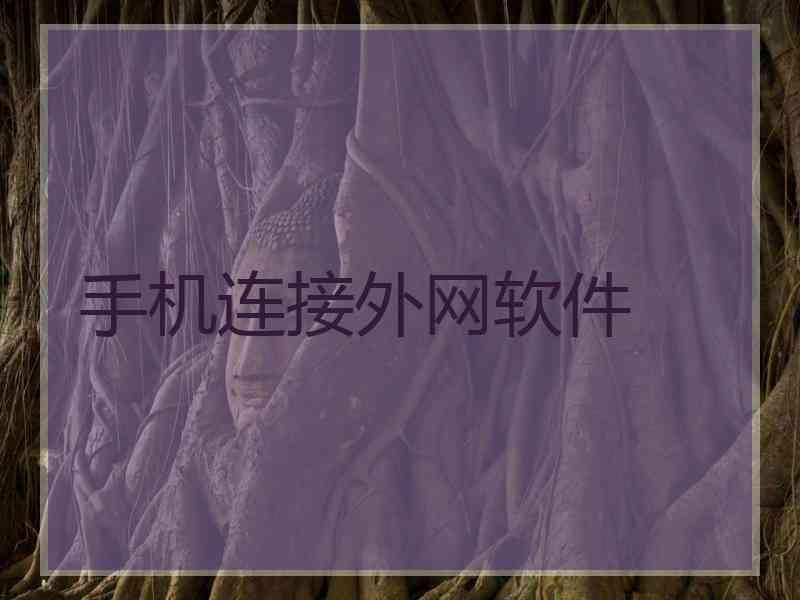 手机连接外网软件
