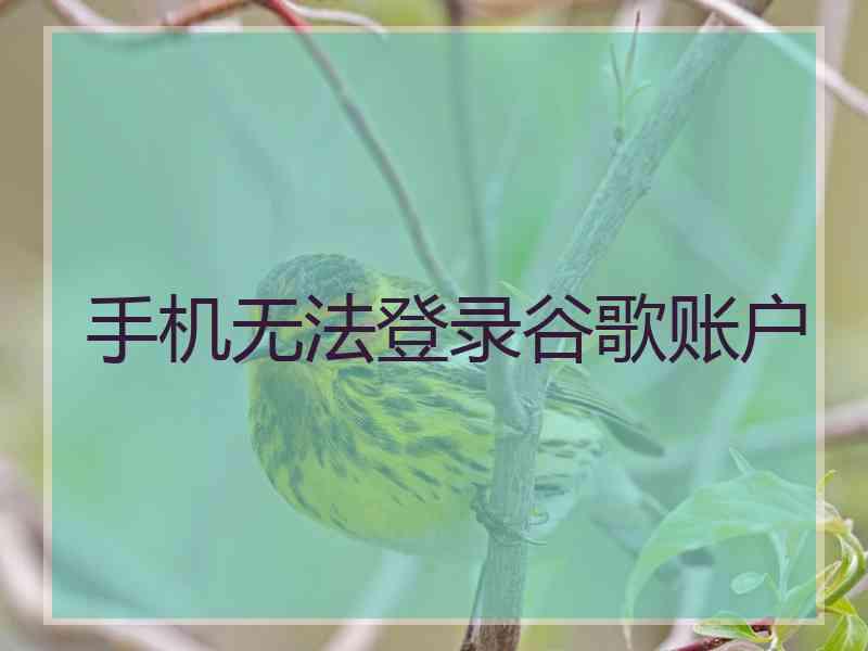 手机无法登录谷歌账户