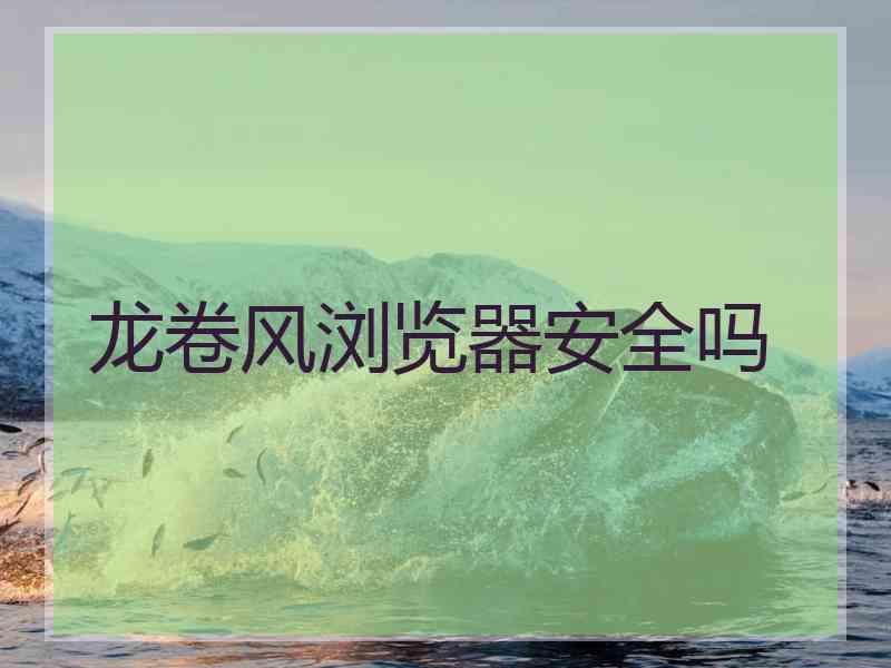 龙卷风浏览器安全吗