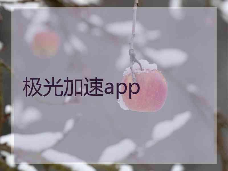 极光加速app