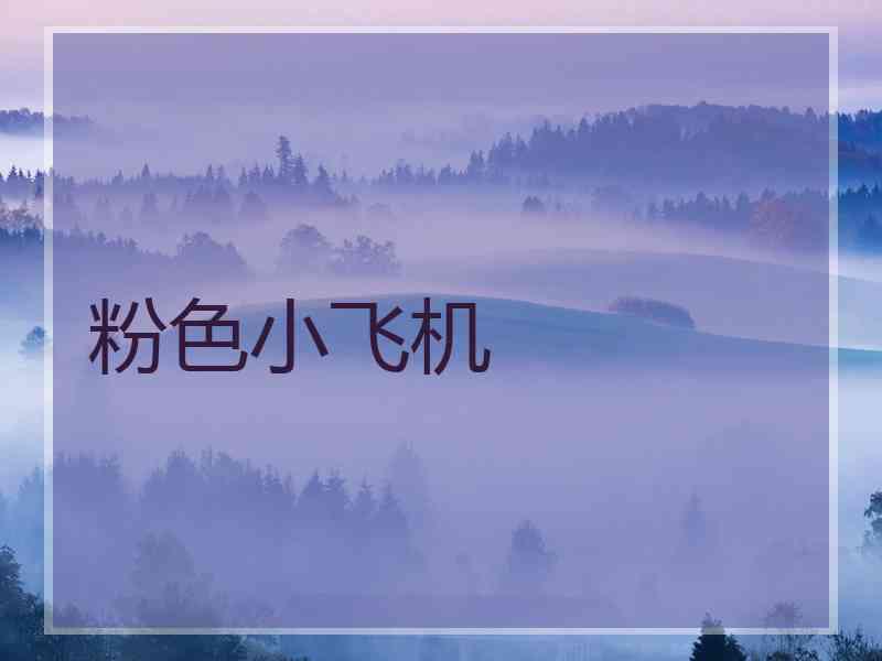 粉色小飞机