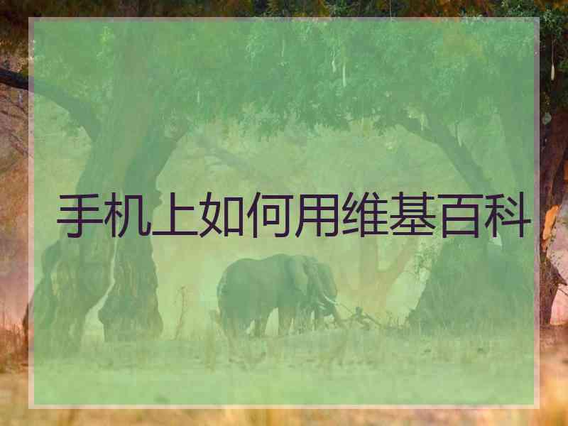手机上如何用维基百科