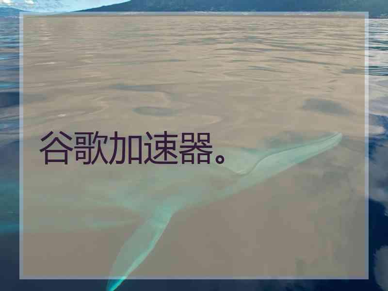 谷歌加速器。