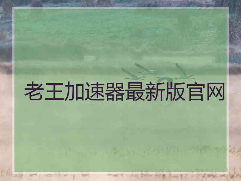 老王加速器最新版官网
