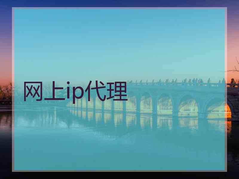 网上ip代理