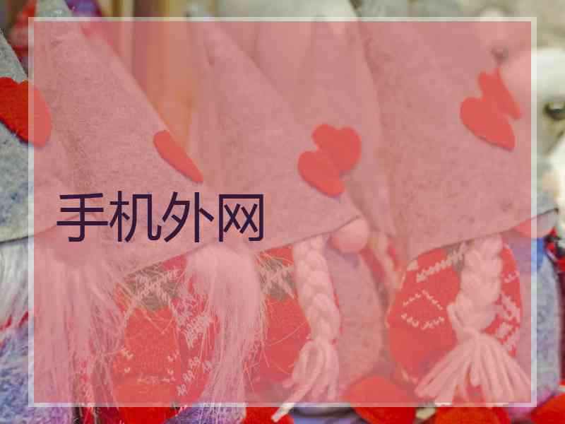 手机外网