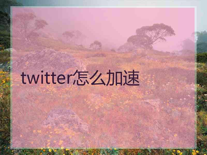 twitter怎么加速