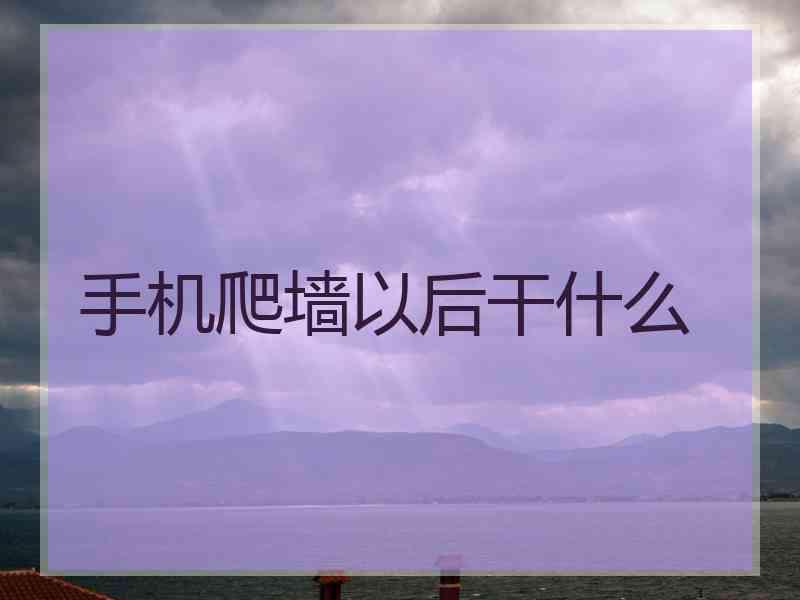手机爬墙以后干什么