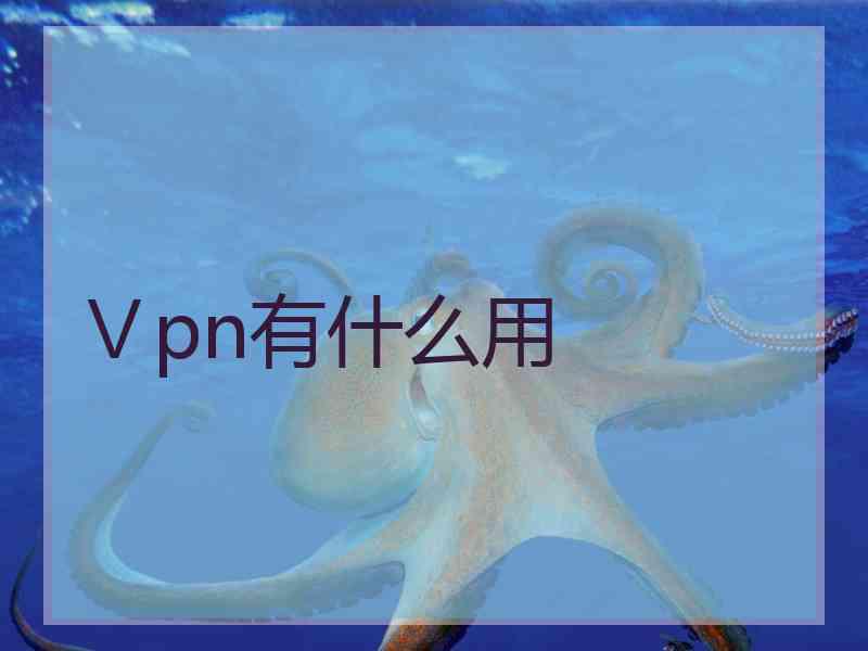 Ⅴpn有什么用