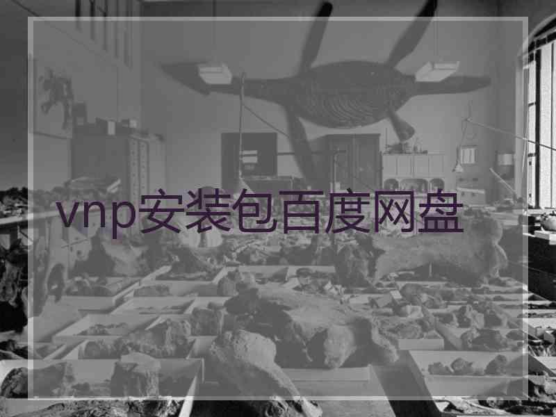 vnp安装包百度网盘