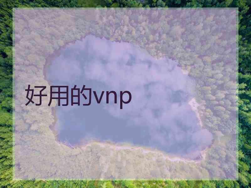 好用的vnp