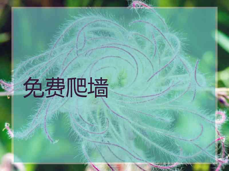 免费爬墙