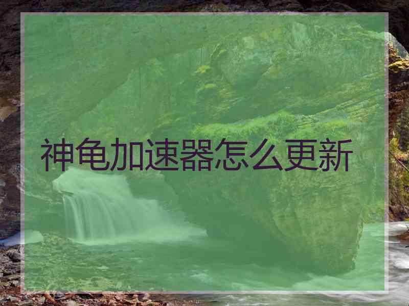 神龟加速器怎么更新