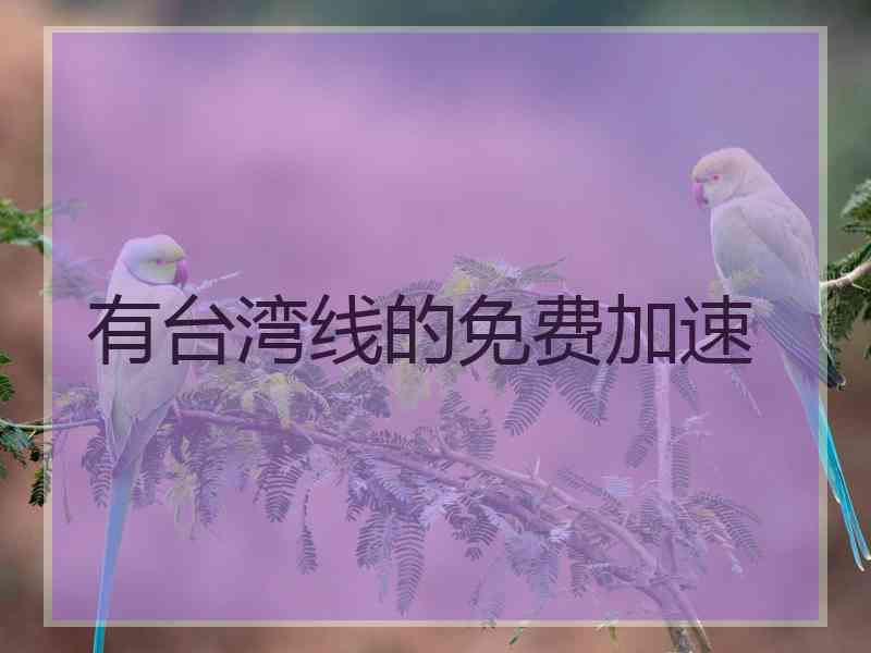 有台湾线的免费加速
