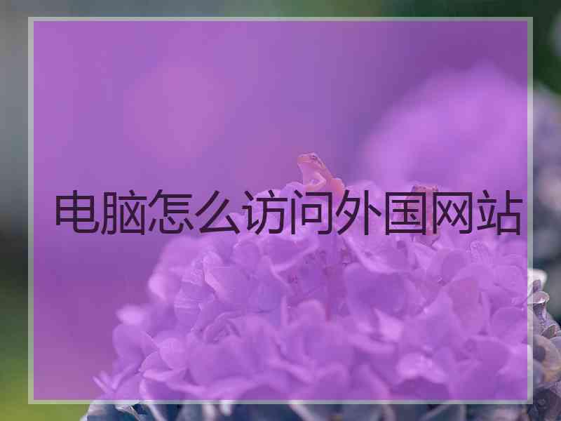 电脑怎么访问外国网站