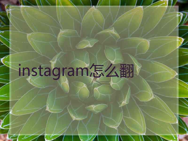 instagram怎么翻