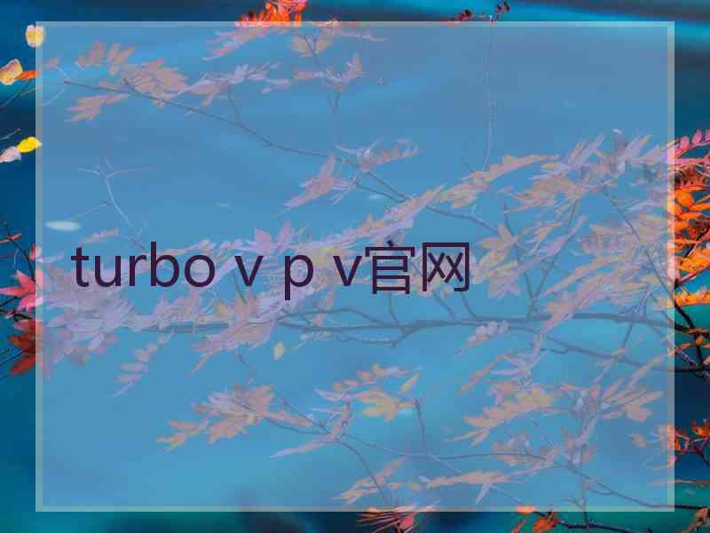 turbo v p v官网