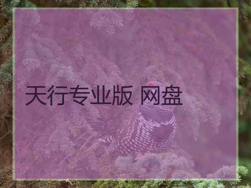 天行专业版 网盘