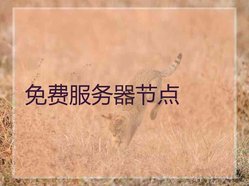免费服务器节点