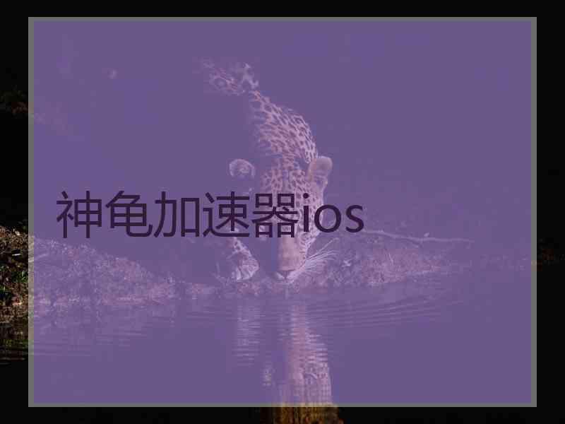 神龟加速器ios