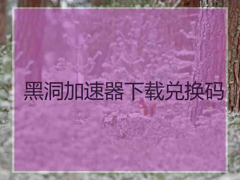 黑洞加速器下载兑换码