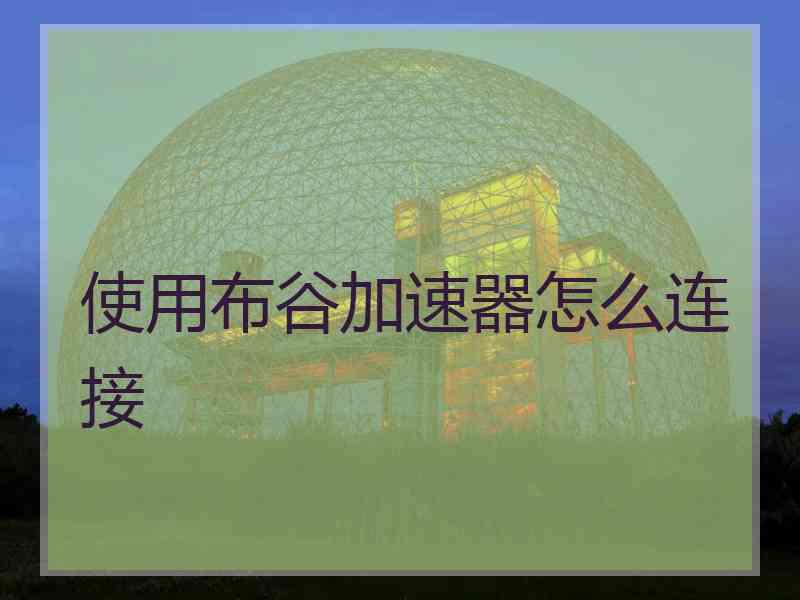 使用布谷加速器怎么连接