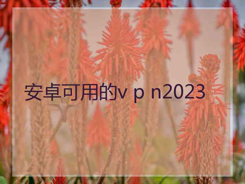 安卓可用的v p n2023