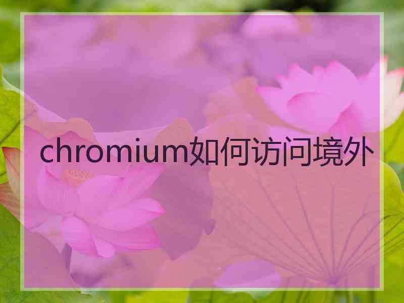 chromium如何访问境外