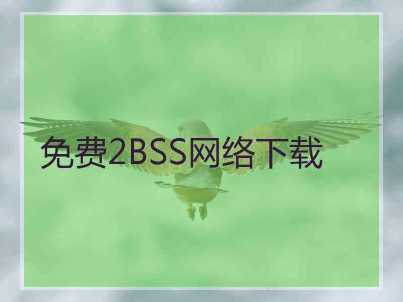 免费2BSS网络下载