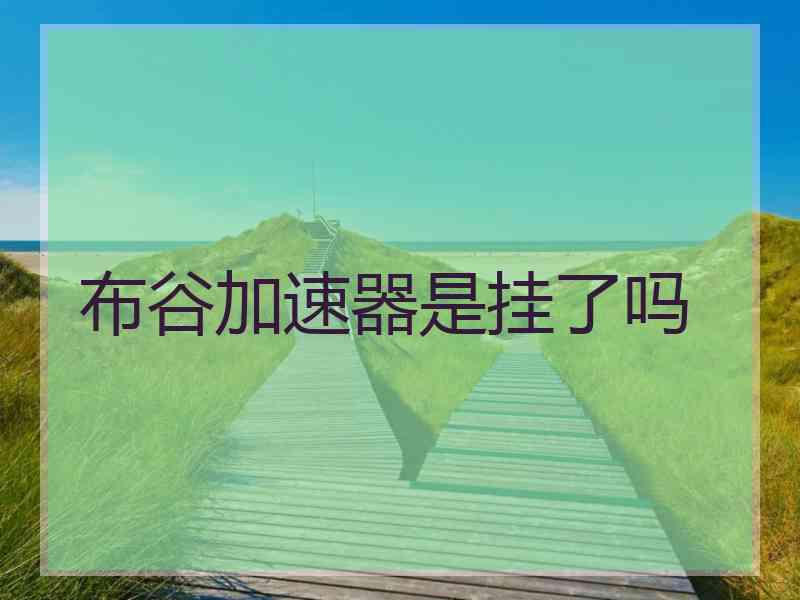 布谷加速器是挂了吗