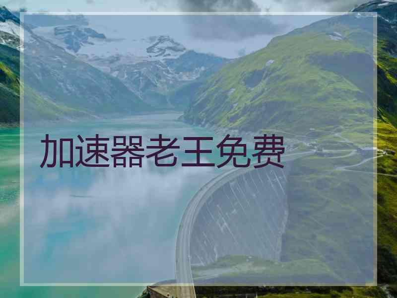加速器老王免费
