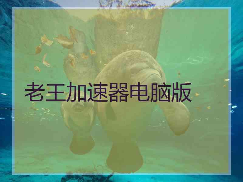 老王加速器电脑版