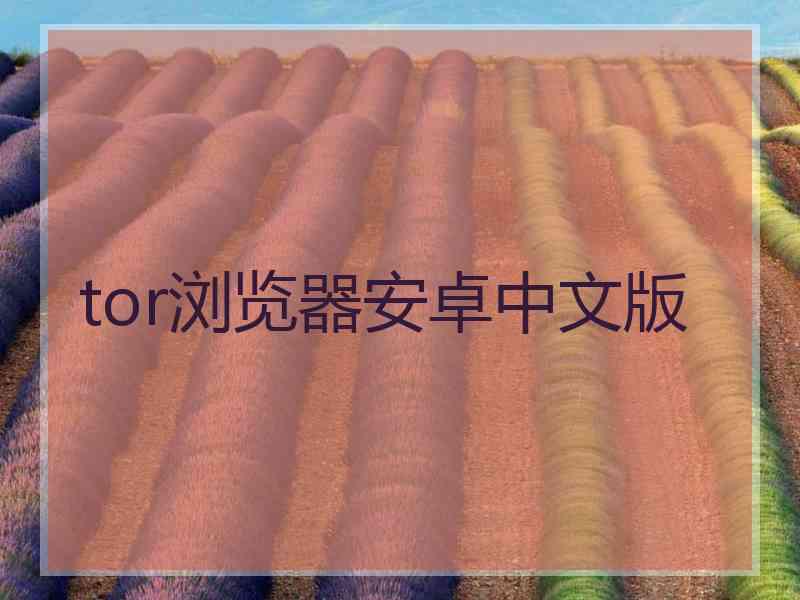 tor浏览器安卓中文版