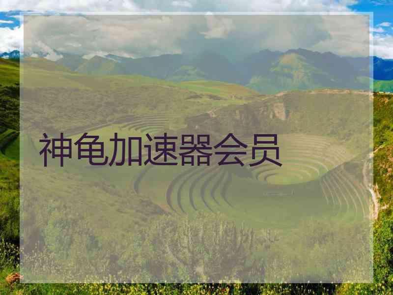 神龟加速器会员