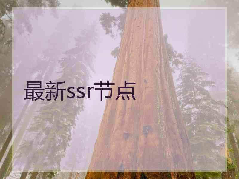 最新ssr节点