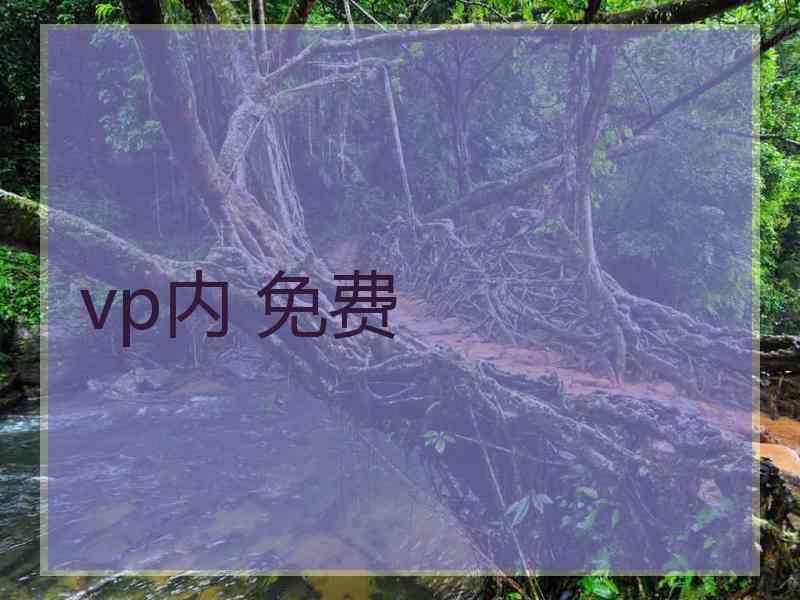 vp内 免费
