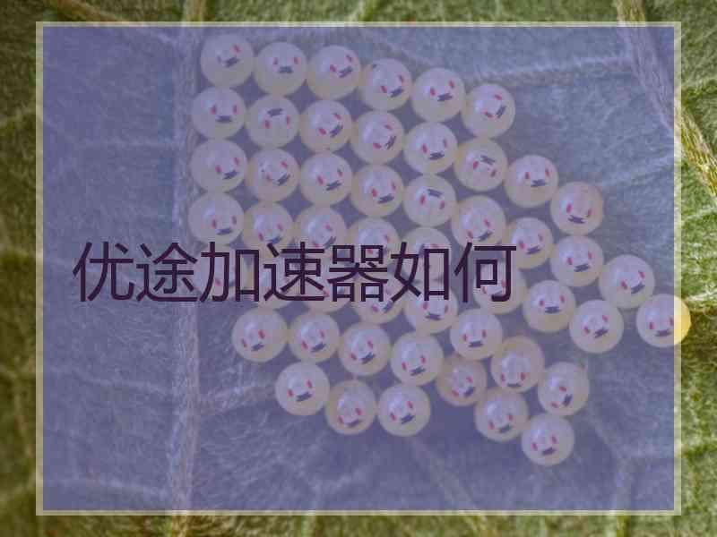 优途加速器如何