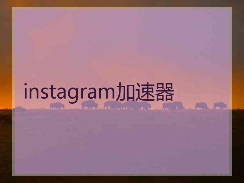instagram加速器