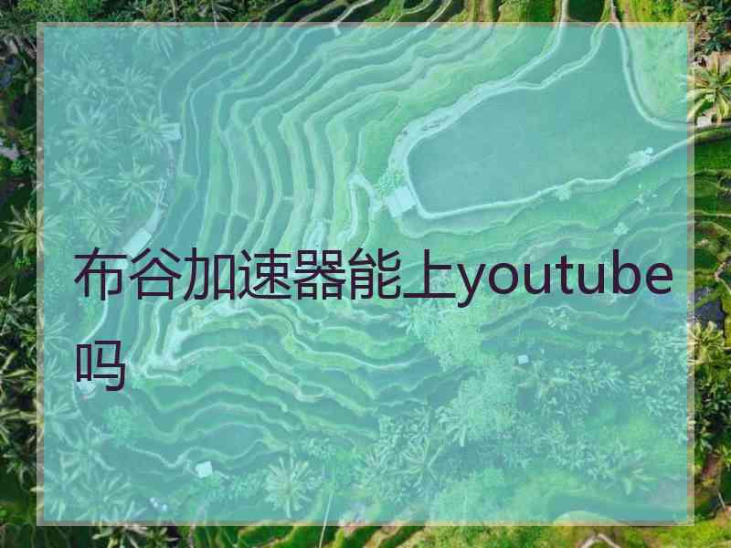 布谷加速器能上youtube吗