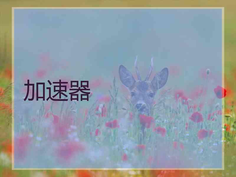 加速器