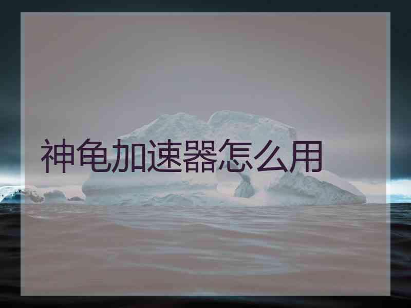神龟加速器怎么用
