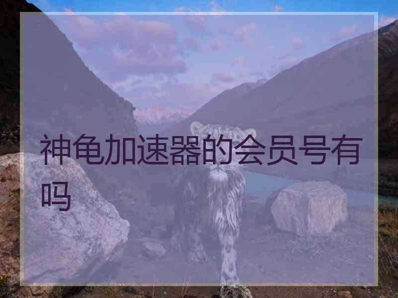 神龟加速器的会员号有吗
