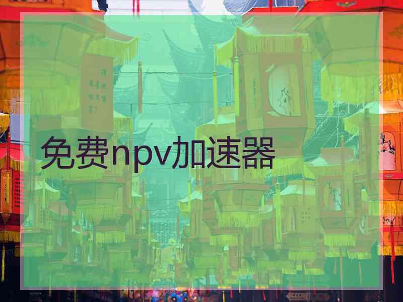 免费npv加速器